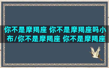 你不是摩羯座 你不是摩羯座吗小布/你不是摩羯座 你不是摩羯座吗小布-我的网站